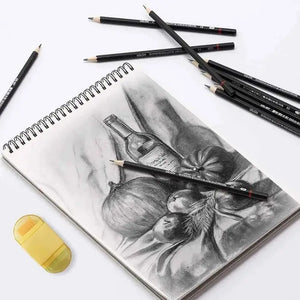 Artist Graded Pencil Set of 12 | Professional Sketching & Drawing Pencils