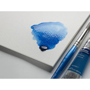 Winsor newton Cotman Round Brush 111