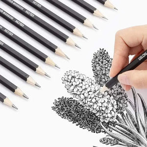 Artist Graded Pencil Set of 12 | Professional Sketching & Drawing Pencils