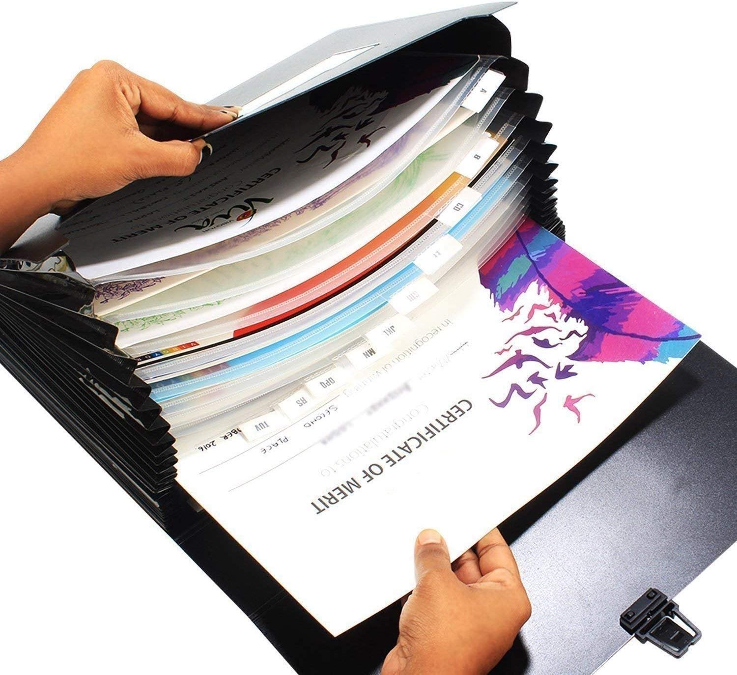 Portfolio Expanding File Folder A4 Size for Drawing Artist Architect Document Lock Storage Bag Legal Size/A4 Size 15 x 10 x 2 inches