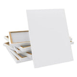 Ansari Canvases