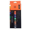 Lanpo Acrylic Paint Set 12 Colors